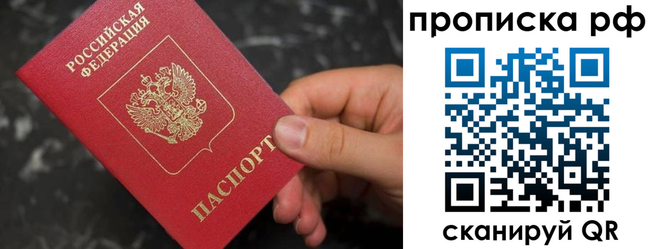 прописка 2025 в Зеленоградске
